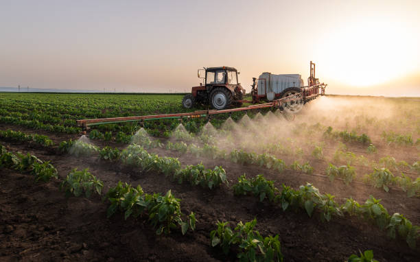 Best Pest Prevention Services  in Ceres, CA