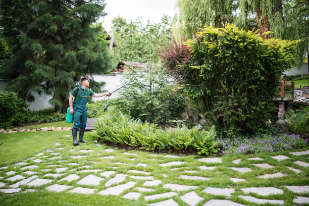 Best Affordable Exterminators  in Ceres, CA