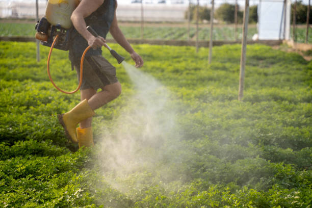 Professional Pest Control in Ceres, CA