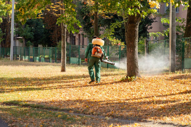Pest Control Cost in Ceres, CA